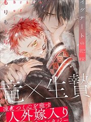 铜雀台第七码 标本封面